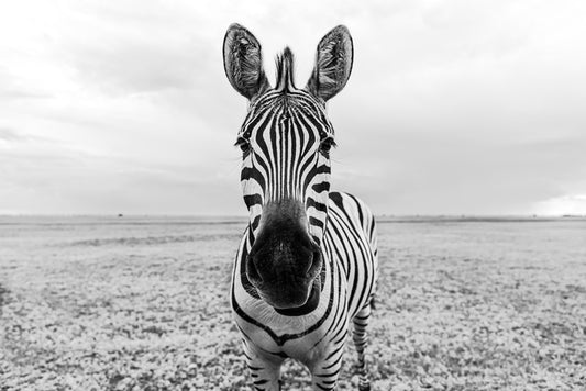 Face to face