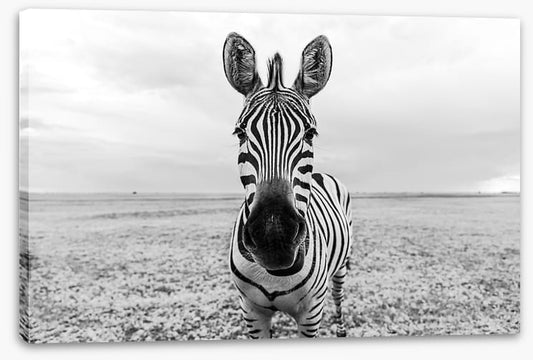 Face to face