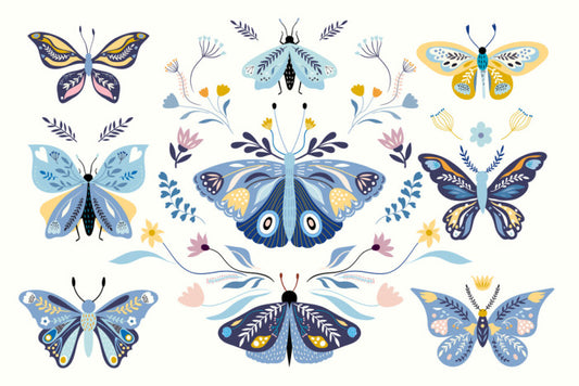 Butterfly blooms
