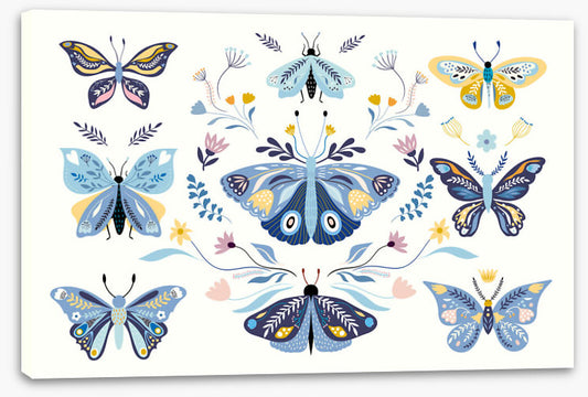 Butterfly blooms