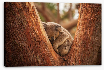 Snuggled in