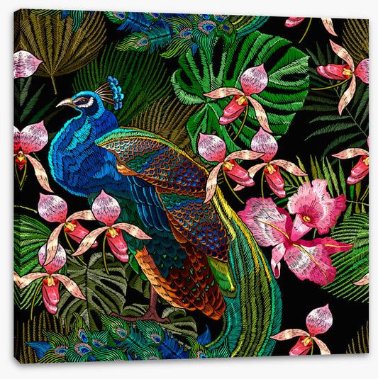 Peacock in the orchids