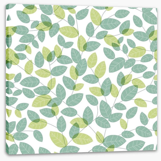 Soft leaves