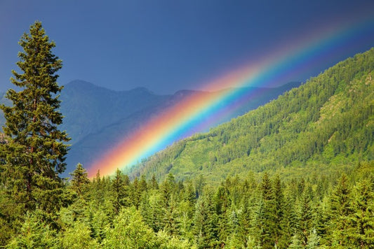 Rainbows