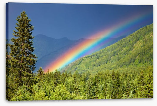Rainbows