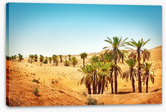 Desert