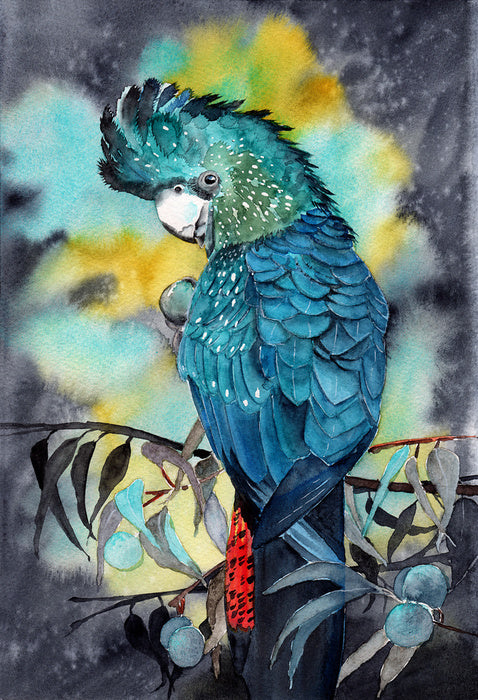 Moonlight cockatoo
