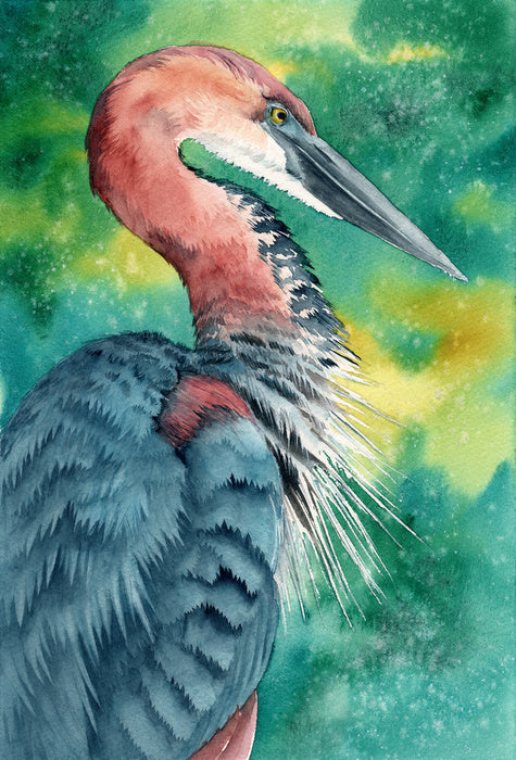 Hello heron