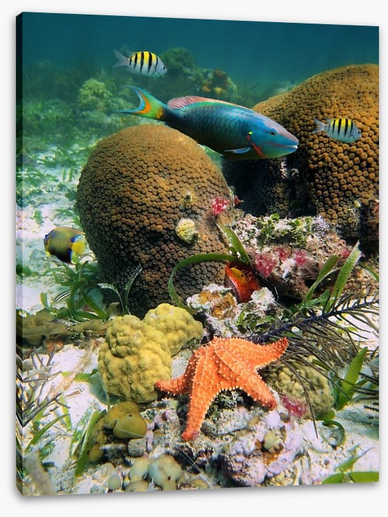 Underwater