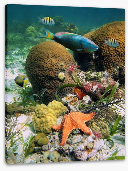 Underwater