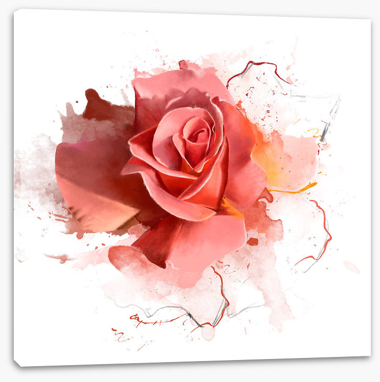 Feeling rosy II