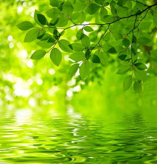 Viridian reflections