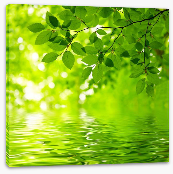 Viridian reflections