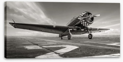 Warbird wings