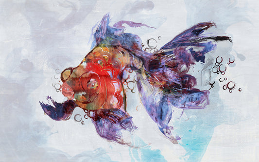 Red fish swim