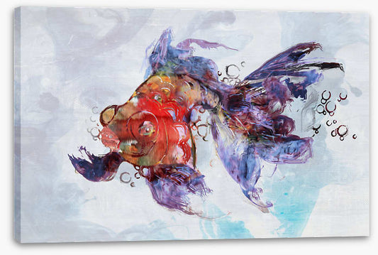 Red fish swim