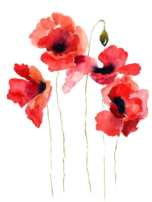 Poppies stripped bare