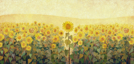 The special sunflower