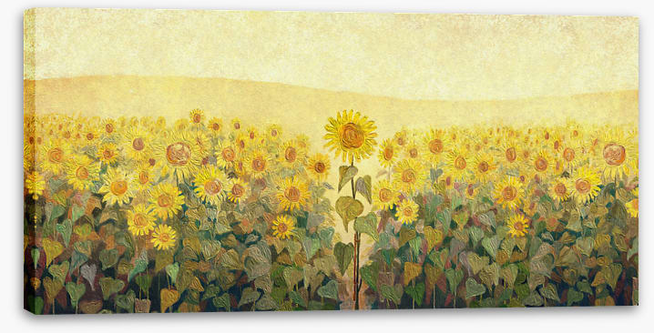 The special sunflower