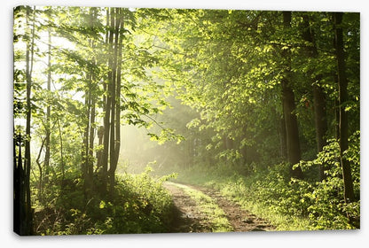 Road towards dawn