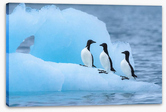 Glaciers