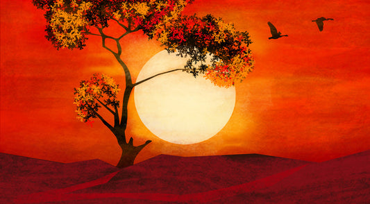 Sundown shadows