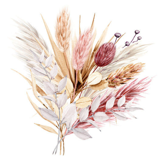 Pampas grass blush