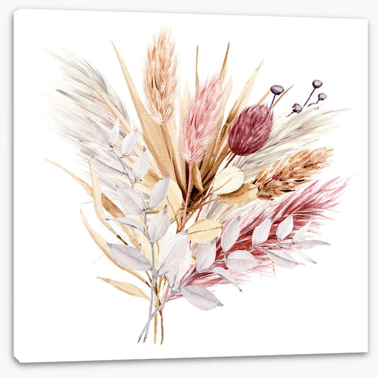 Pampas grass blush