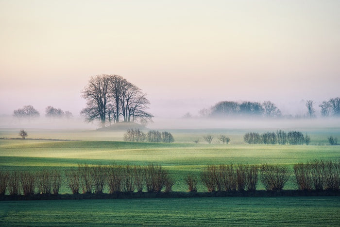 Rolling mist