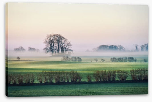 Rolling mist