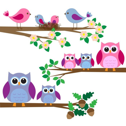 Owls and birds