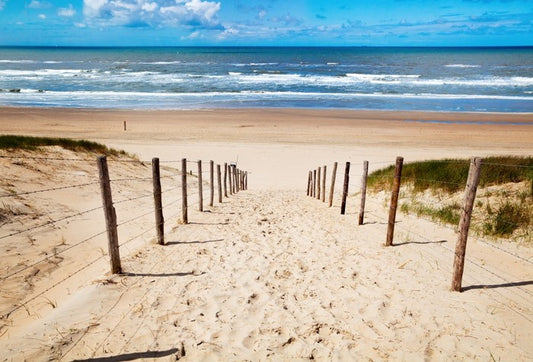 Way to the beach