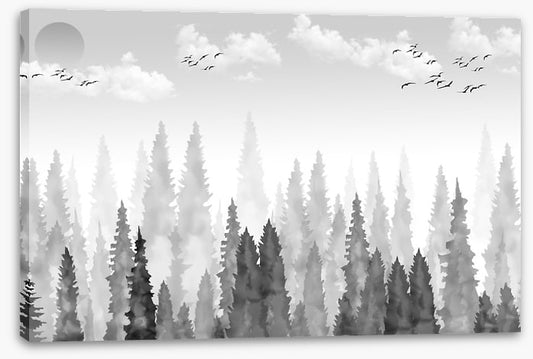 Black and White