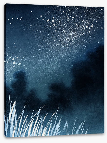 Milky Way shadows