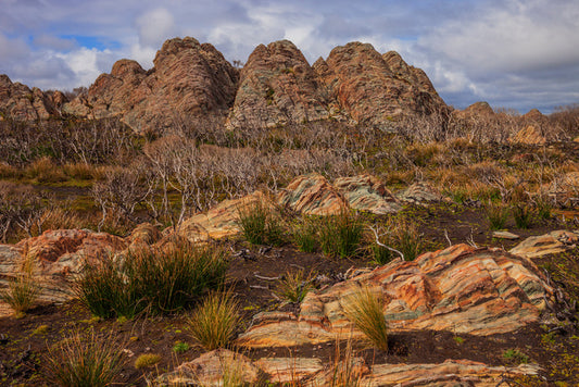 Tasmania