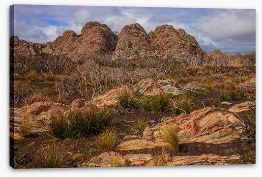 Tasmania