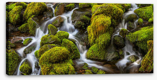 Waterfalls