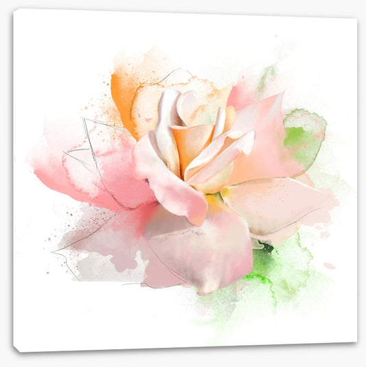 Feeling rosy I