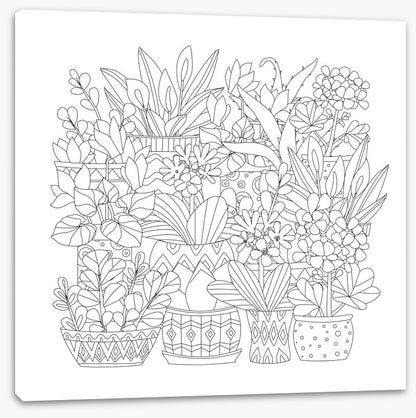 Colour me plant pots