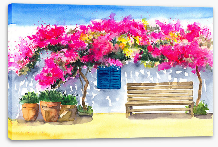The bougainvillea bench