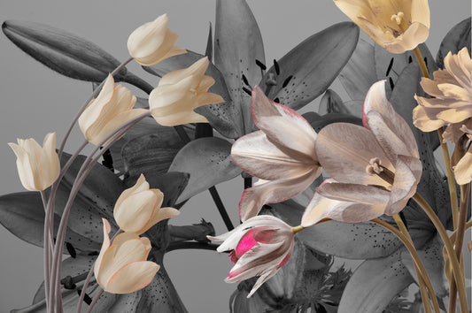 Tulip trends