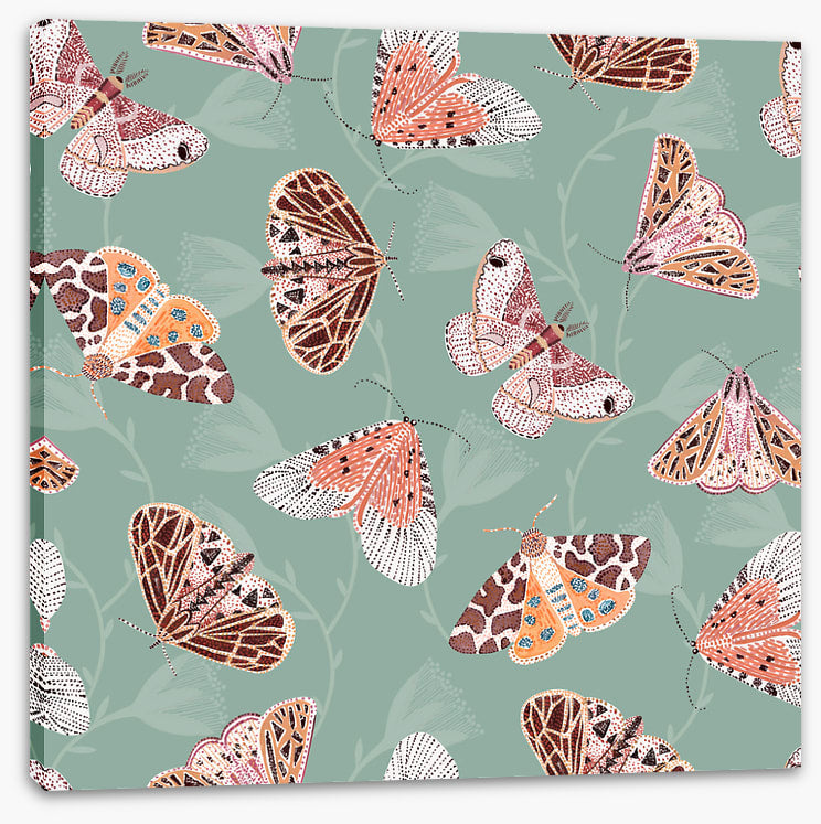 Butterflies