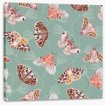 Butterflies