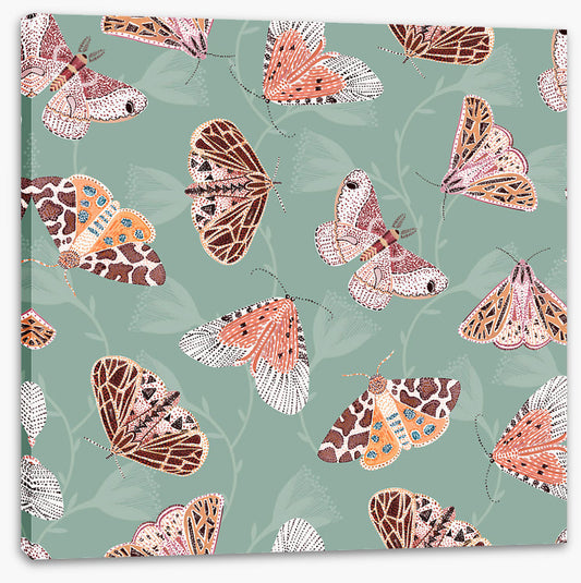 Butterflies