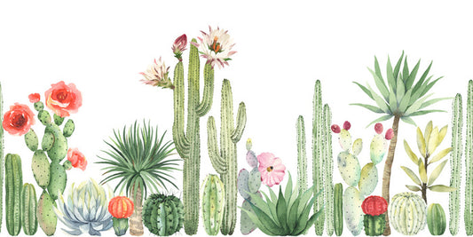 The cactus crowd