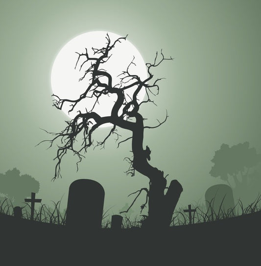 The dead of night