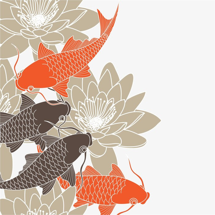Lotus and koi