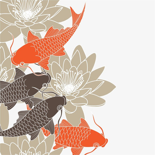 Lotus and koi