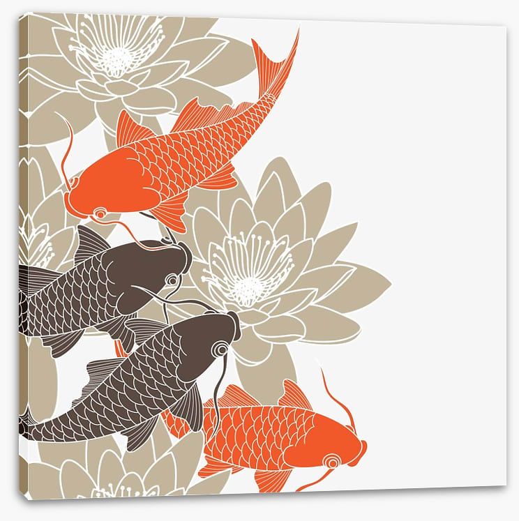 Lotus and koi
