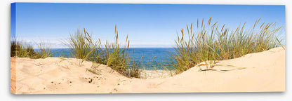 Sandgrass panorama